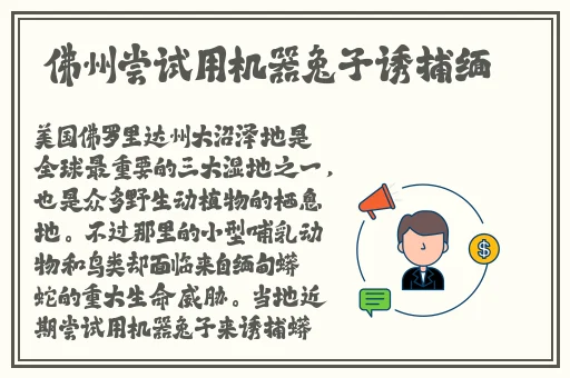 国产精品一区自拍
